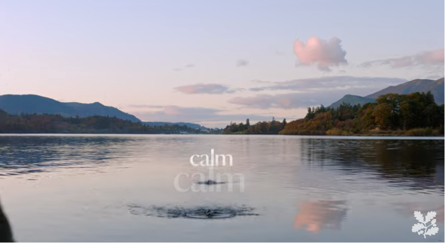 shows a calm lake at sunset - 30 content marketing examples 