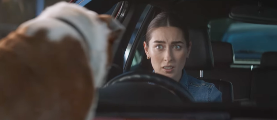 shows a woman in a car staring at a bull dog - 30 content marketing examples