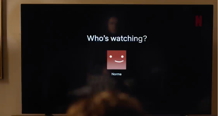 shows a screen shot of the Netflix homepage